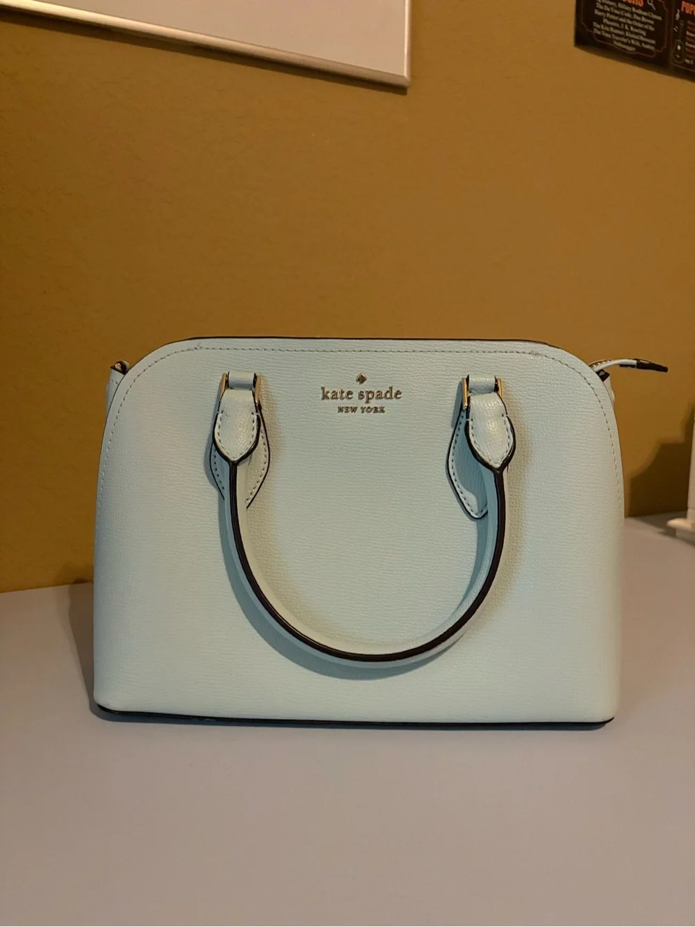 kate spade structured mini